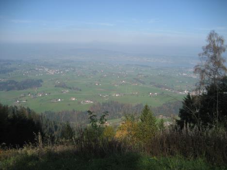 Sonntag 007.jpg   18kb   26.03.2021 22:41:32